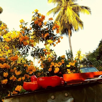 Impressions of Independence Yacht, Koh Samui, Thailand