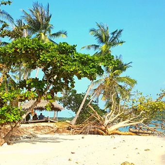 Impressions of Independence Yacht, Koh Samui, Thailand