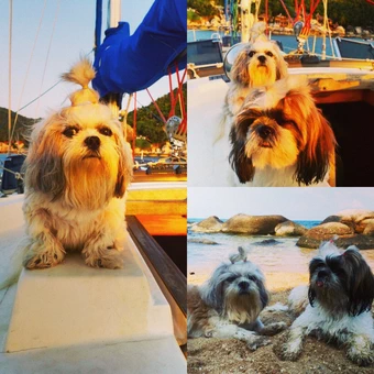 Impressions of Independence Yacht, Koh Samui, Thailand